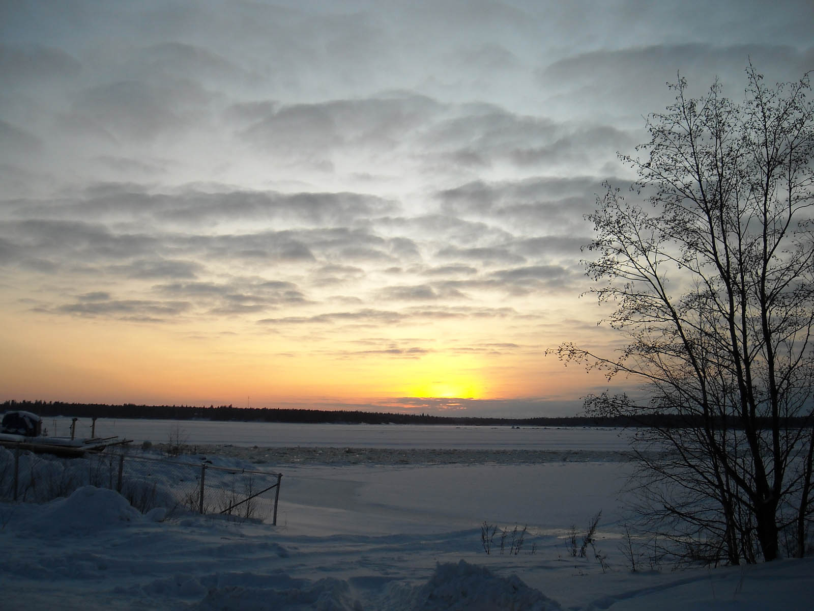 Talvimaisema meren rannalta,talvi,maisema,ranta,meri,talvimaisema,jää,taustakuva