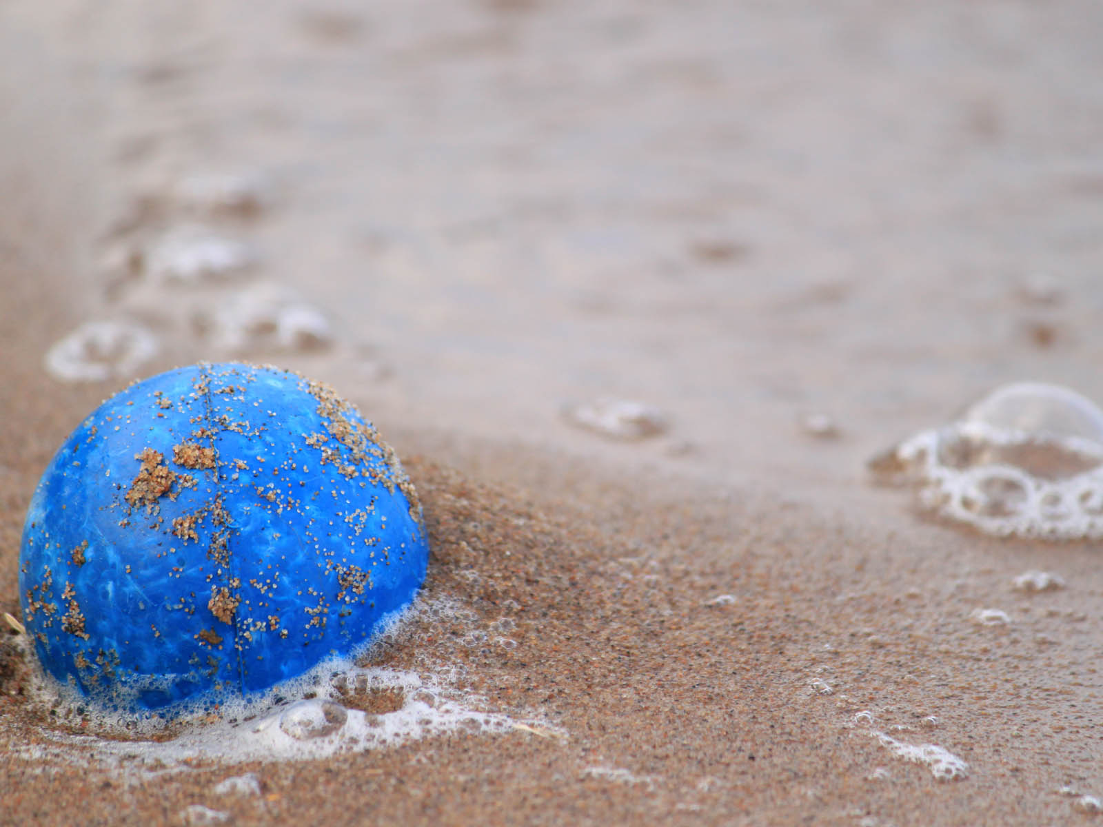 Pallo Hiekkarannalla,pallo, hiekka, ranta, hiekkaranta,taustakuva 